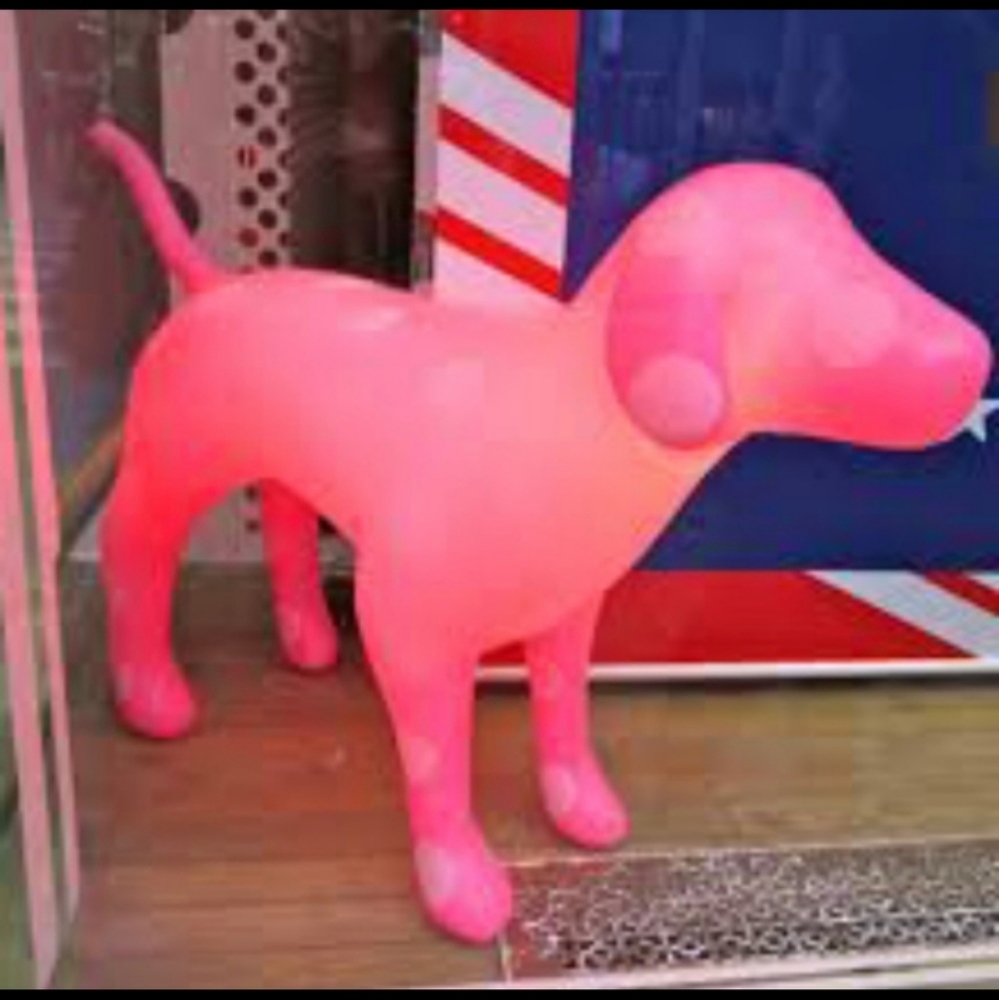 Major ISO: Store Display dogs - Picture 2 of 3